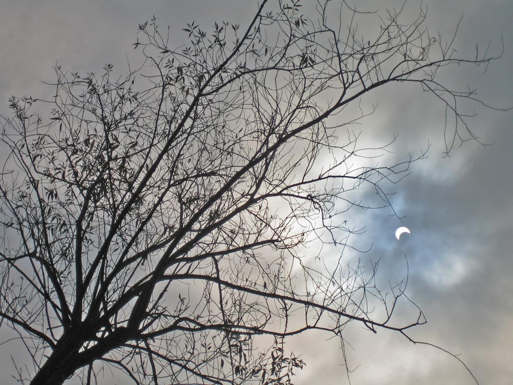 Eclipse partielle de soleil du 03-10-2005b.jpg